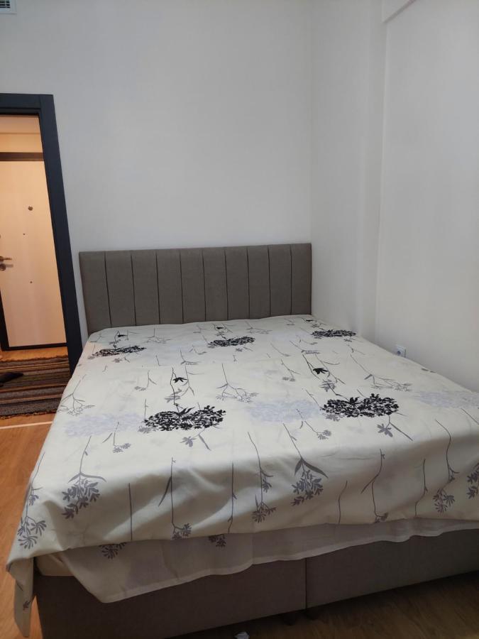 Daire Ekpa 1207 *